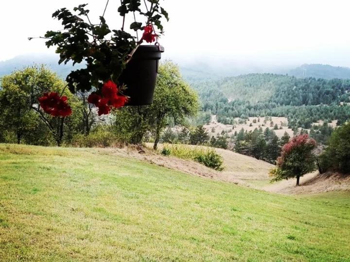 Koliba Kod Vukasina Chalet Kremna